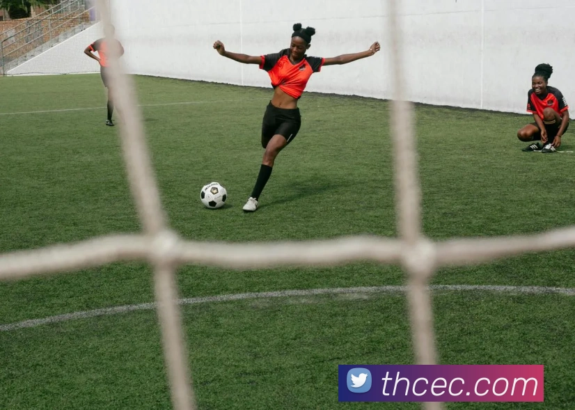 信誉好的平台服务体系